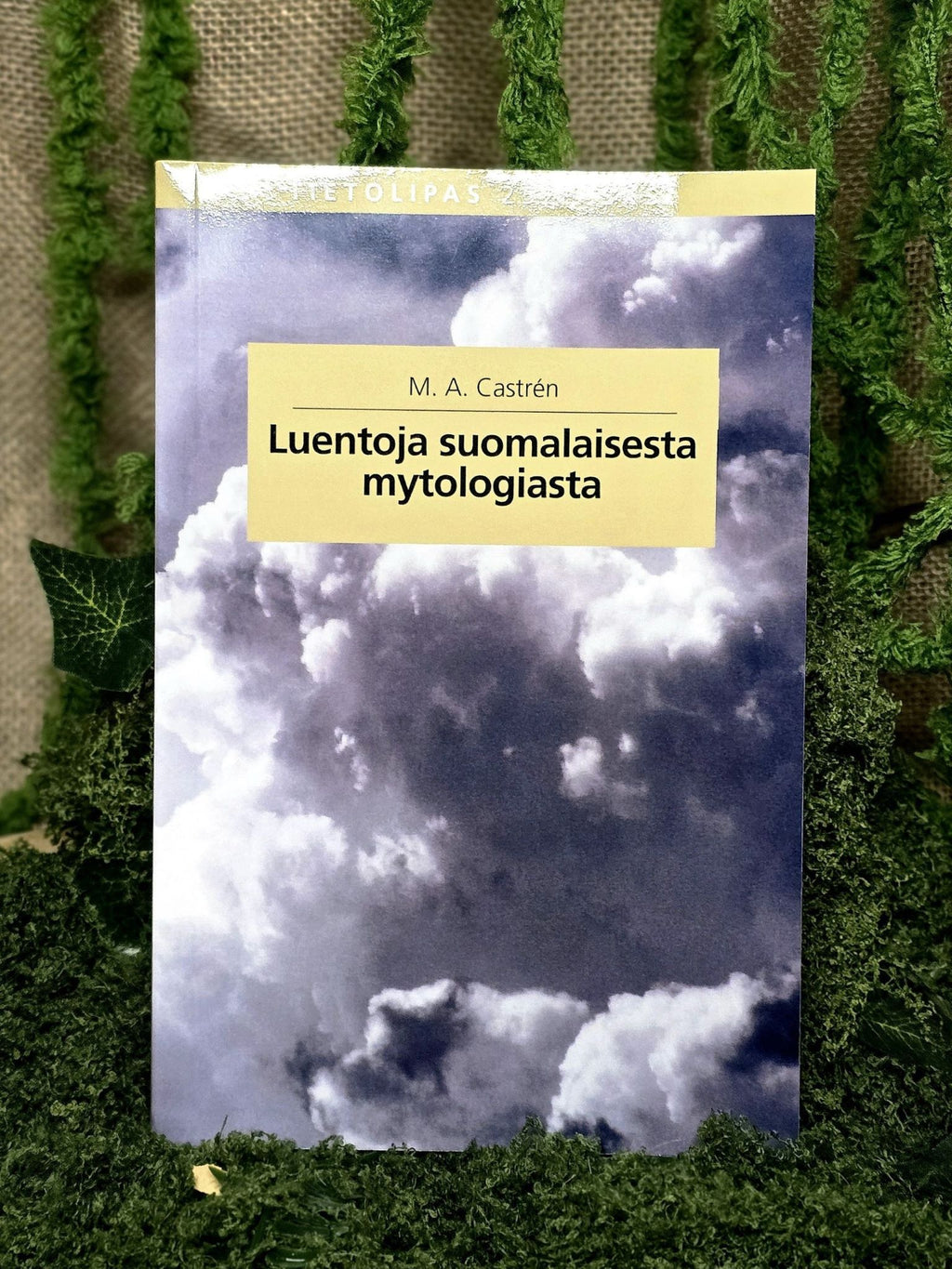 Luentoja suomalaisesta mytologiasta