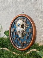 Upea taulu, rusakon kallo, sininen kyaniitti, kuivattuja kasveja, sininen tausta