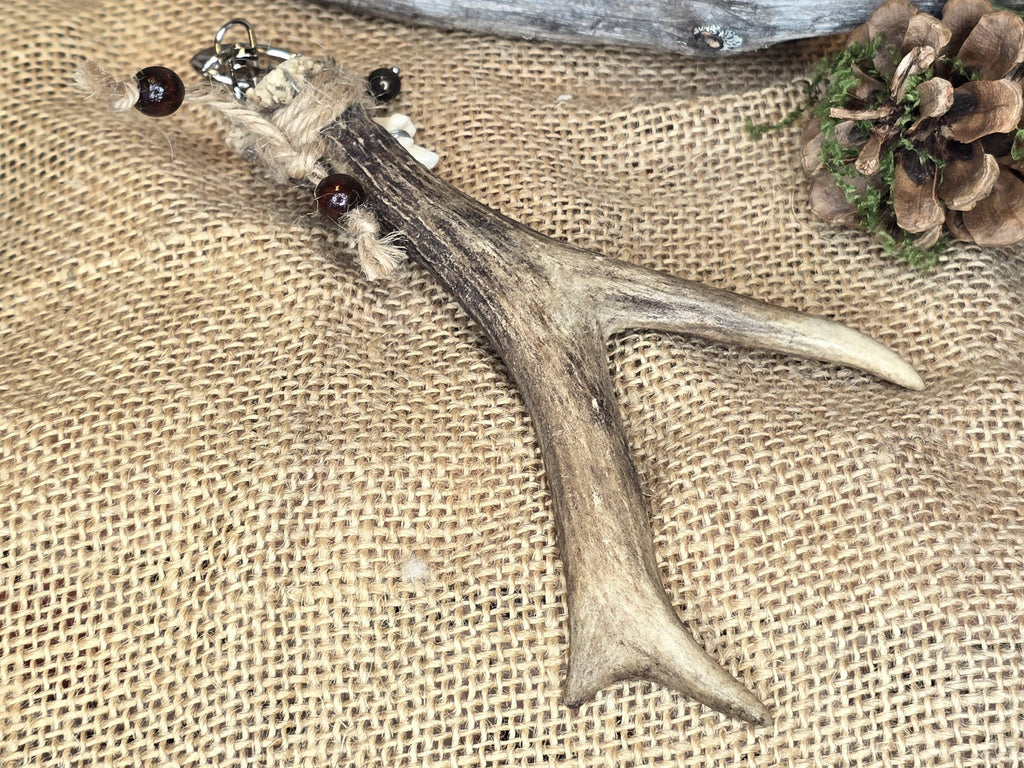 Kauriin sarvi laukkukoru, jossa myös naakannikamaluu. 