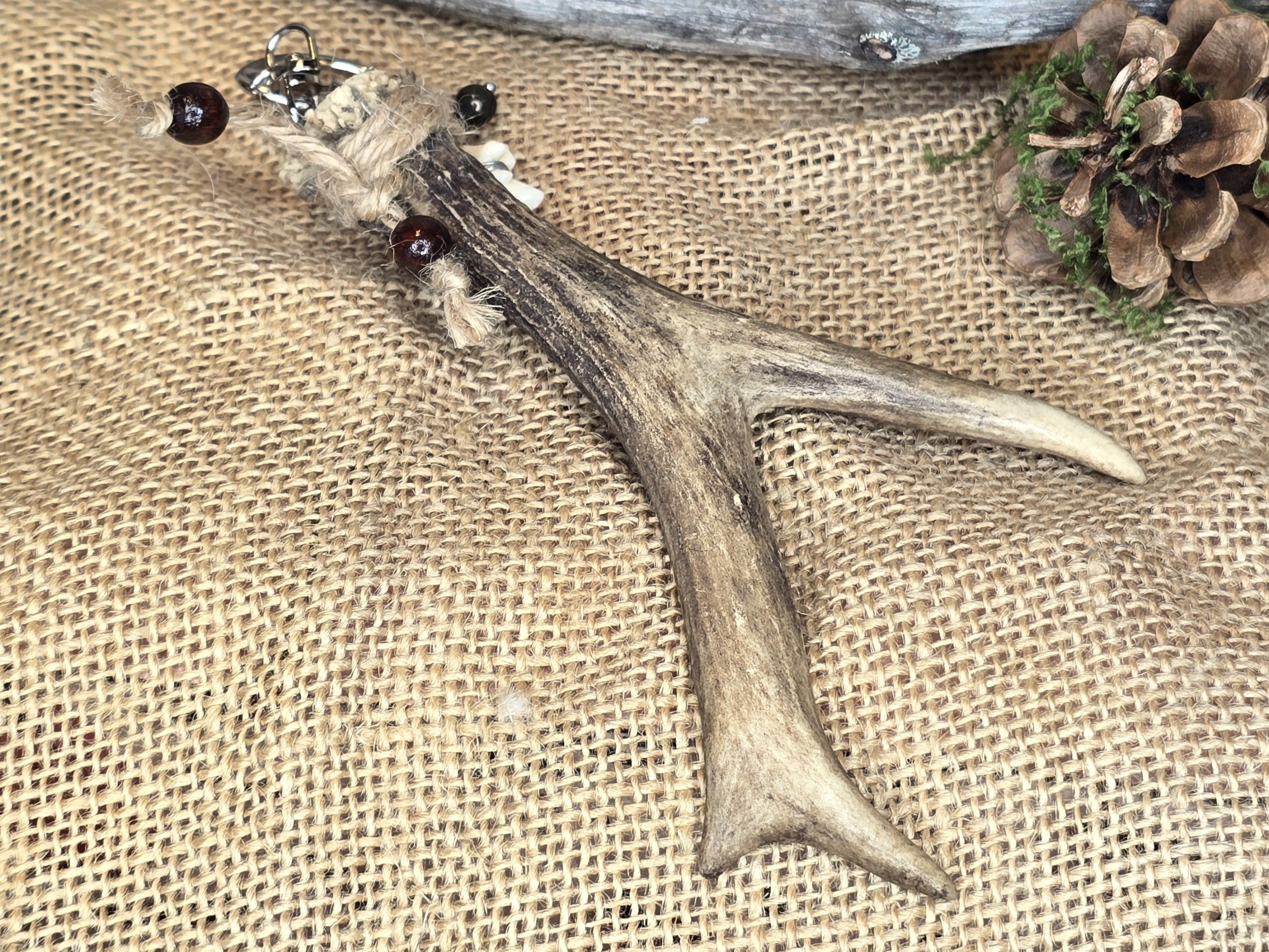 Kauriin sarvi laukkukoru, jossa myös naakannikamaluu. 