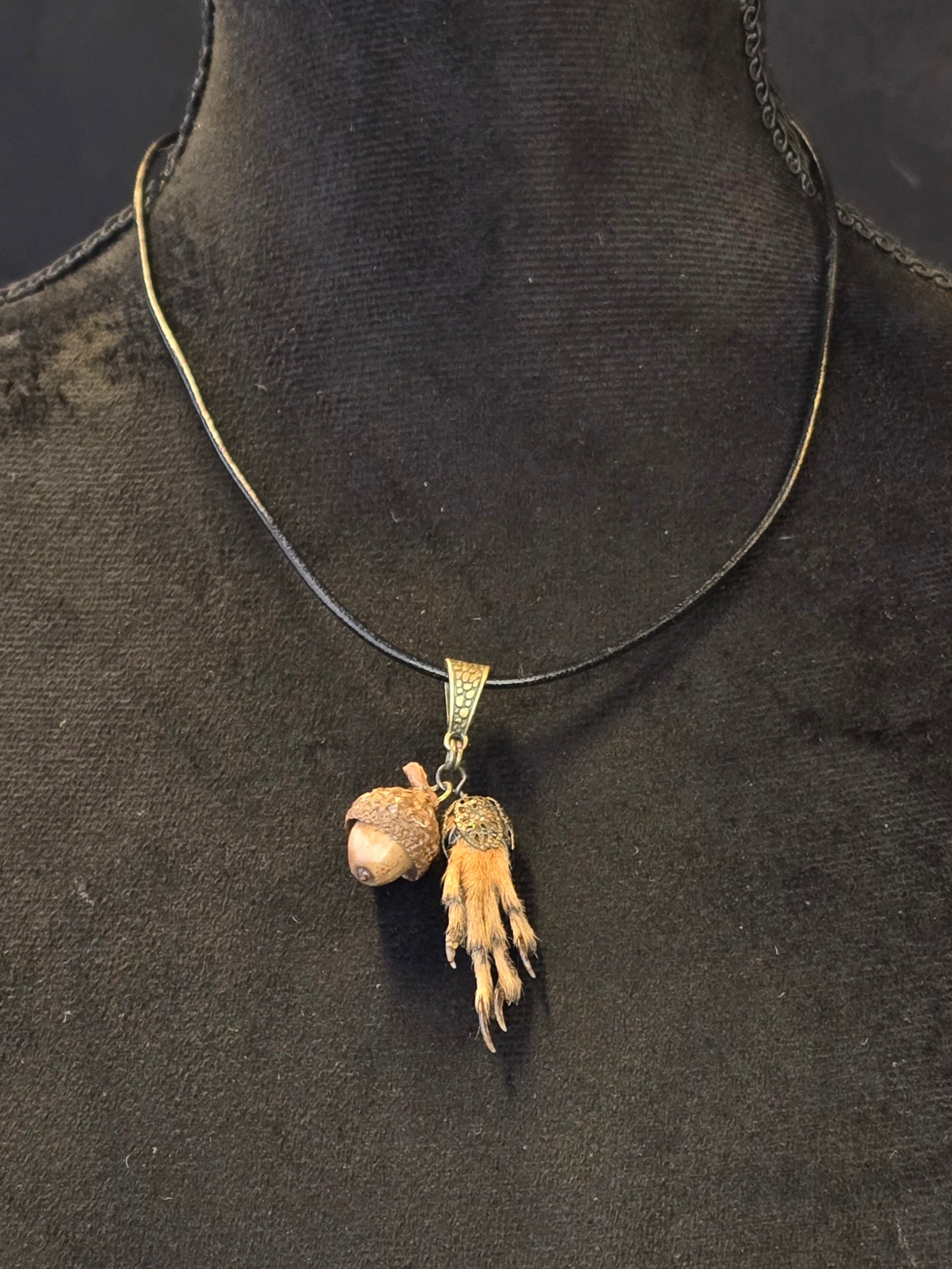 Kaulakorussa aito oravankäpälä ja tammenterho.