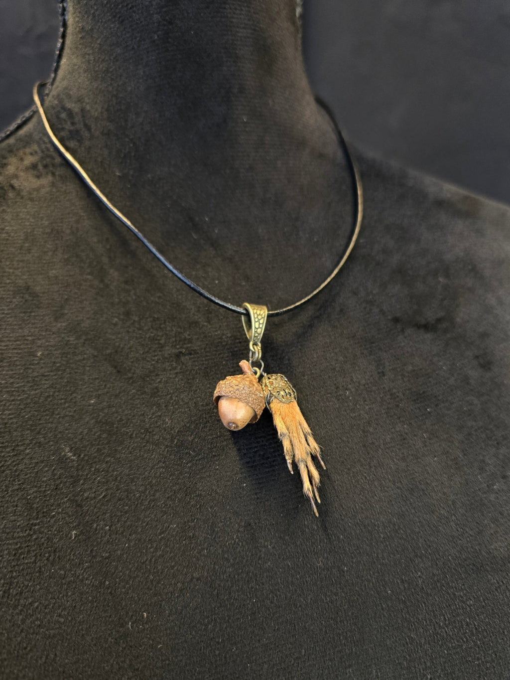 Kaulakorussa aito oravankäpälä ja tammenterho.