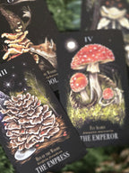 Midnight magic tarot deck of mushrooms. 
