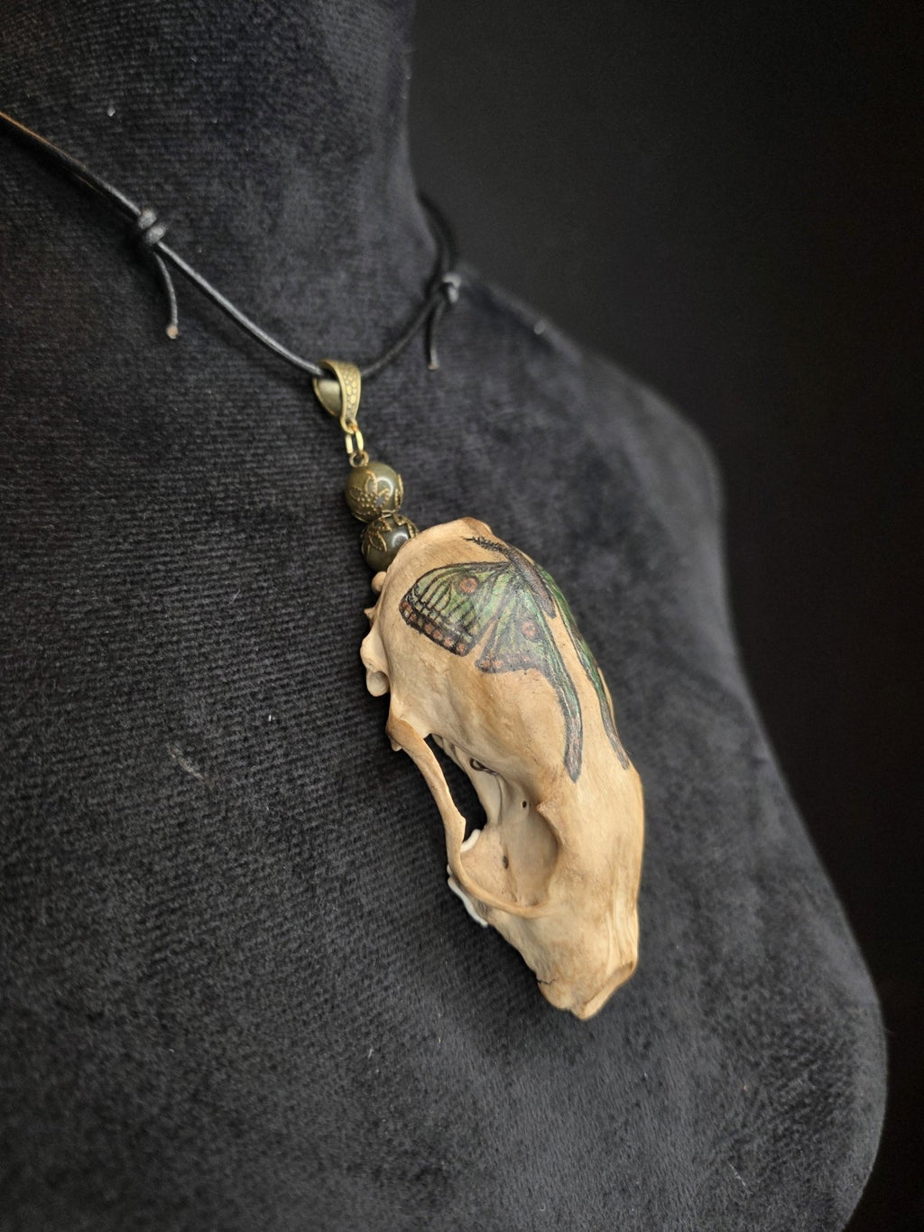 Minkinkallosta valmistettu näyttävä amuletti, jossa labradoriittihelmiä. Kallo on koristeltu perhoskuviolla. Amuletti sivulta.
