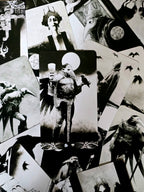 Murder of Crows Tarot - tarotkortit - Inked Mystiqs