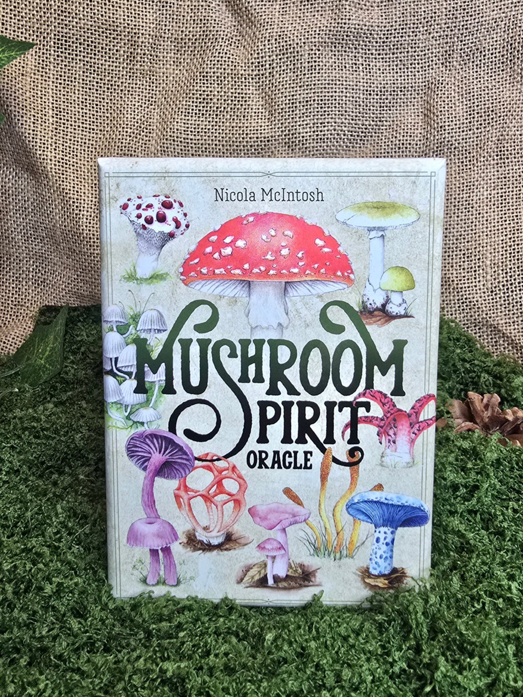 Mushroom Spirit Oraakkelikortit