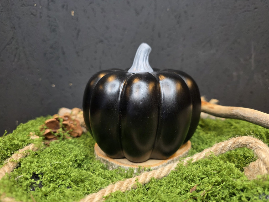 Suitsukepoltin, musta kurpitsa. 