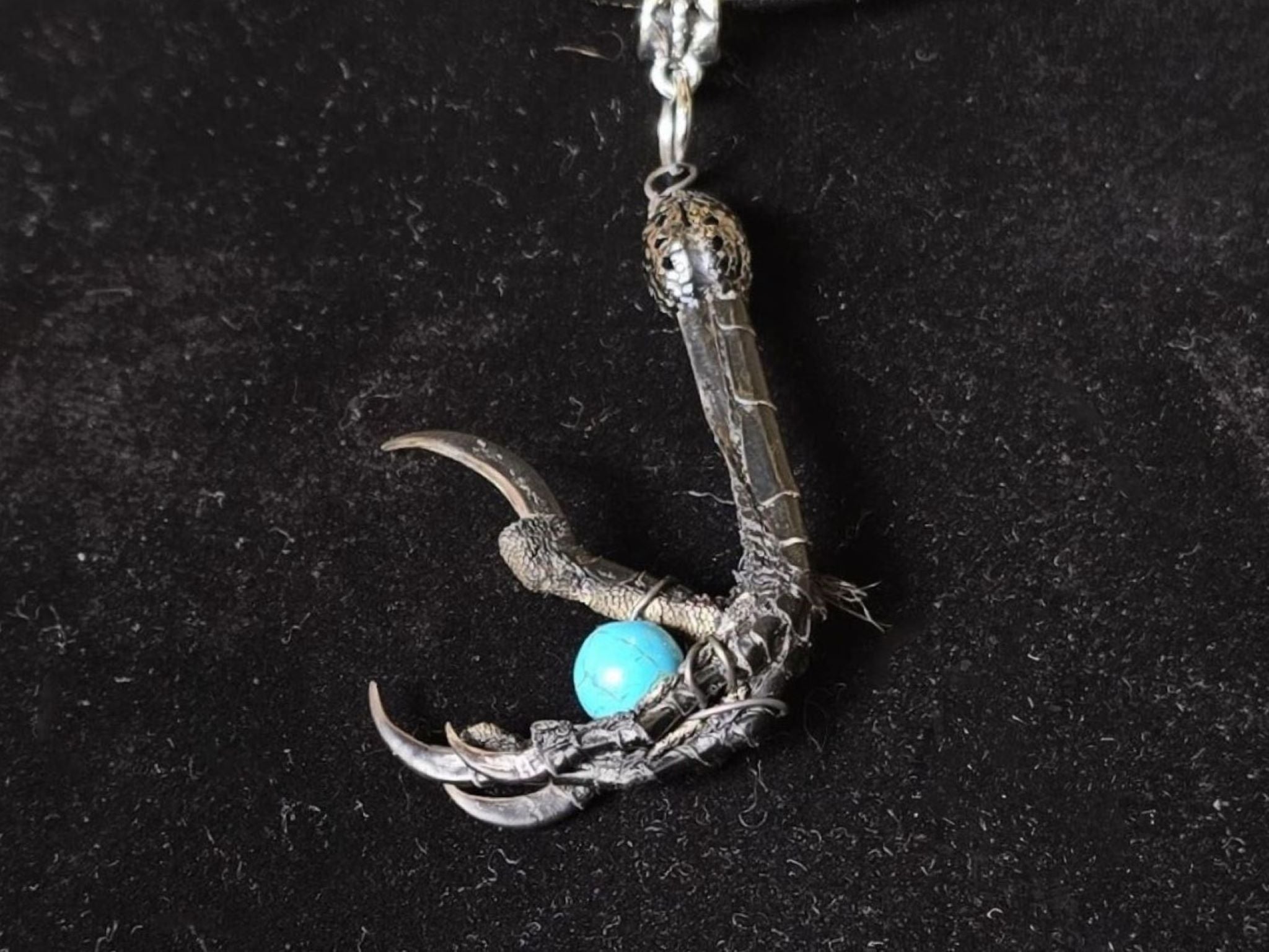 Kaulakoru, jossa naakankoipi pitelee turkoosia howliitti helmeä. 