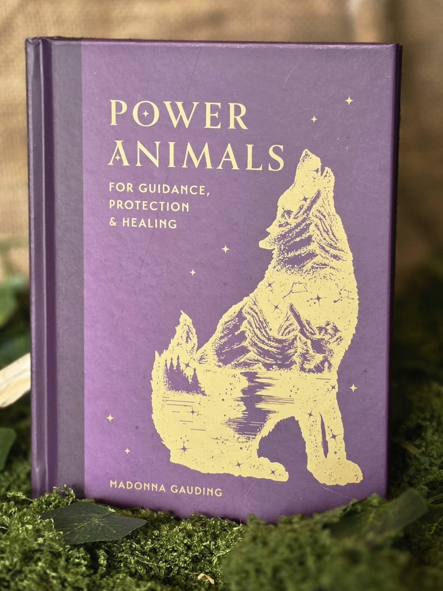 Power Animals, Madonna Gauding book in English.