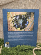 Pyhien vesien äärellä