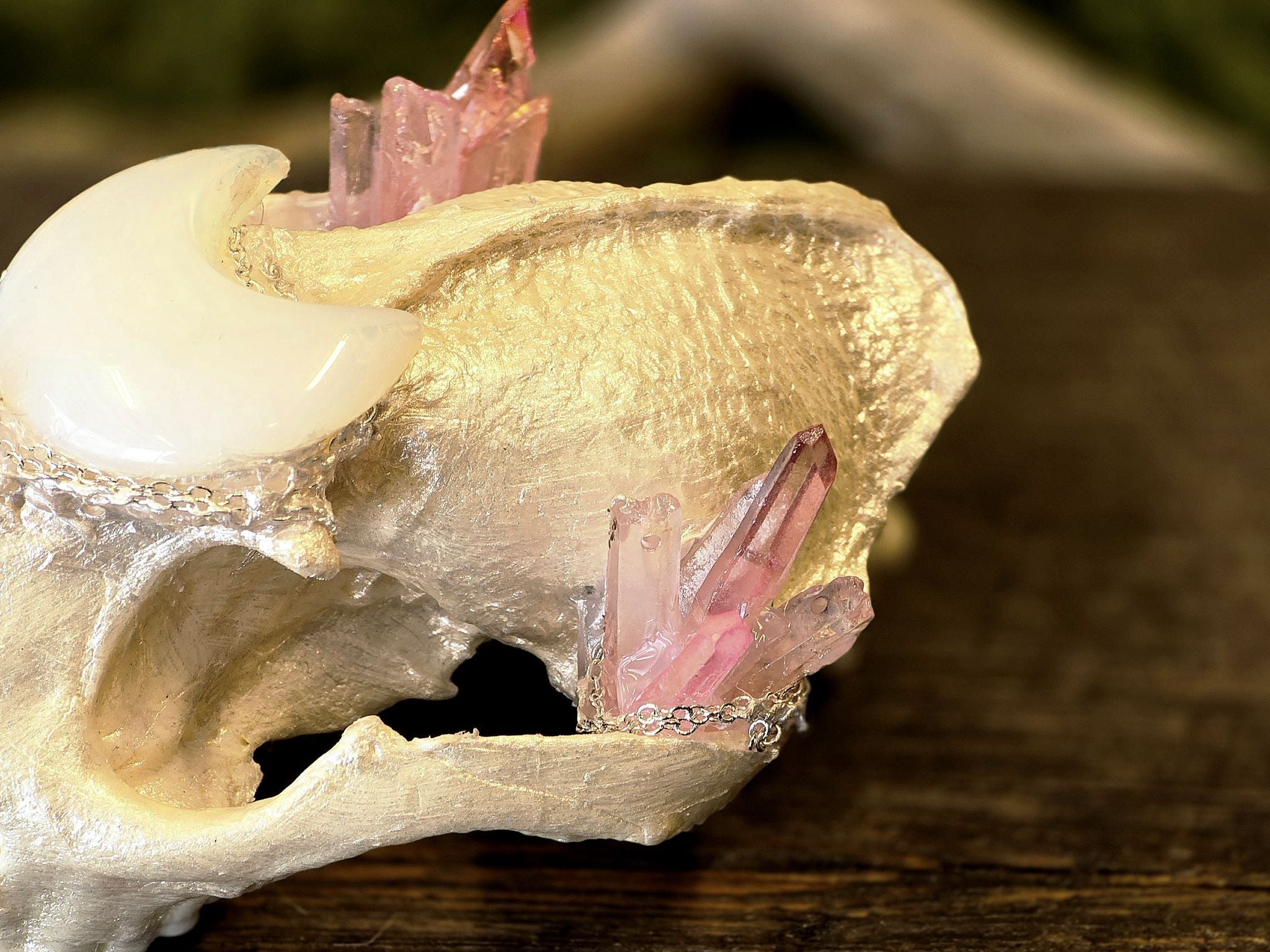 Aito supikoiran kallo, huolellisesti käsitelty, puhdistettu ja valkaistu. Kallo on koristeltu näyttävästi opaliittikuulla, värjätyllä kvartsilla ja vuorikristalleilla.&nbsp; Tarkoitettu koristekäyttöön, sisustukseen tai alttarikoristeeksi.