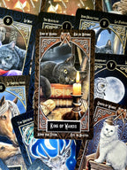 Tarot Familiars - tarotkortit - Inked Mystiqs