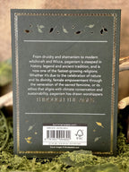 The Little Book of Paganism - Inked Mystiqs