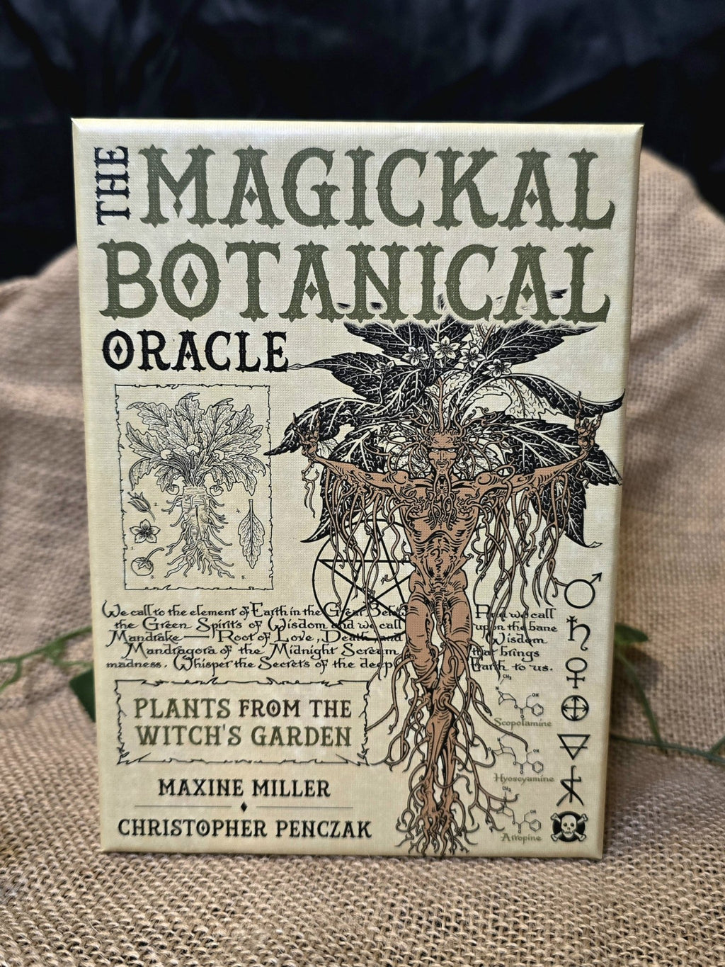 The Magickal Botanical Oracle - oraakkelikortit - Inked Mystiqs