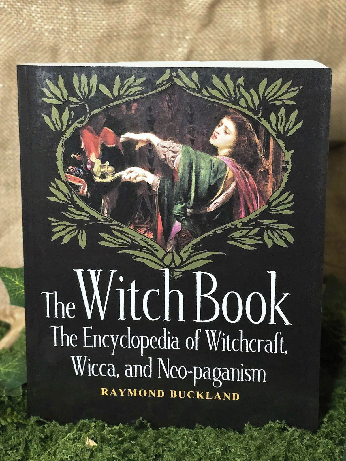 The Witch Book - The Encyclopedia of Witchcraft, Wicca, and Neo-paganism.