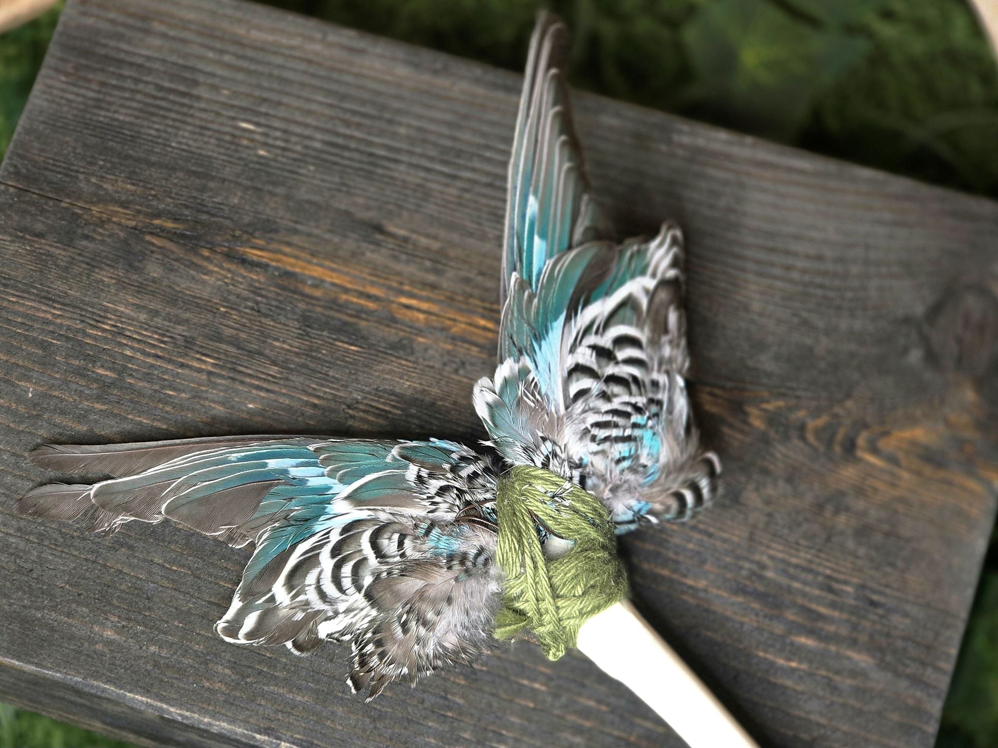 Kauriinluusta ja aidoista undulaatin siivistä valmistettu suitsukeviuhka.