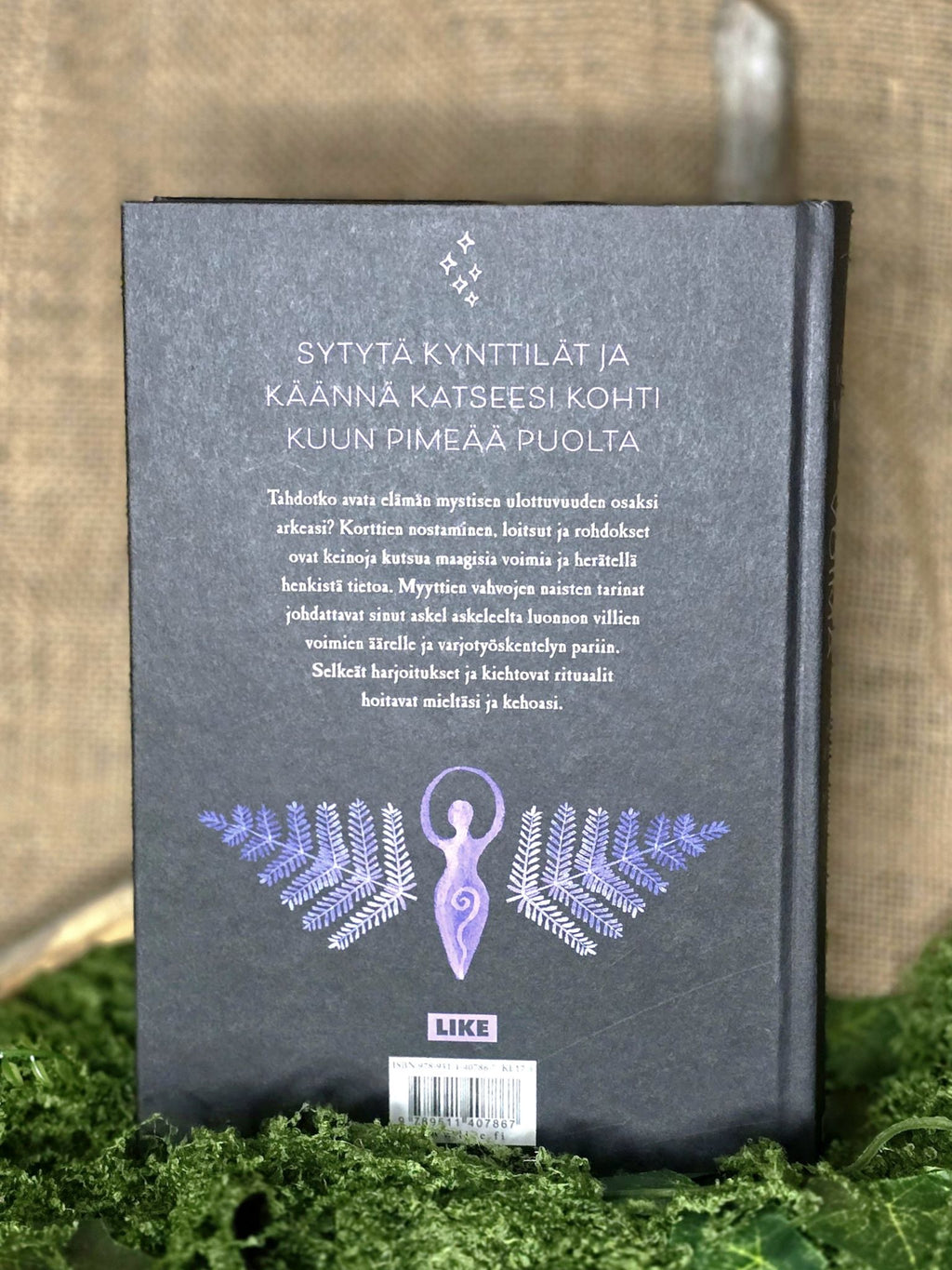 Meri Mortin kirja Varjojen voima. 