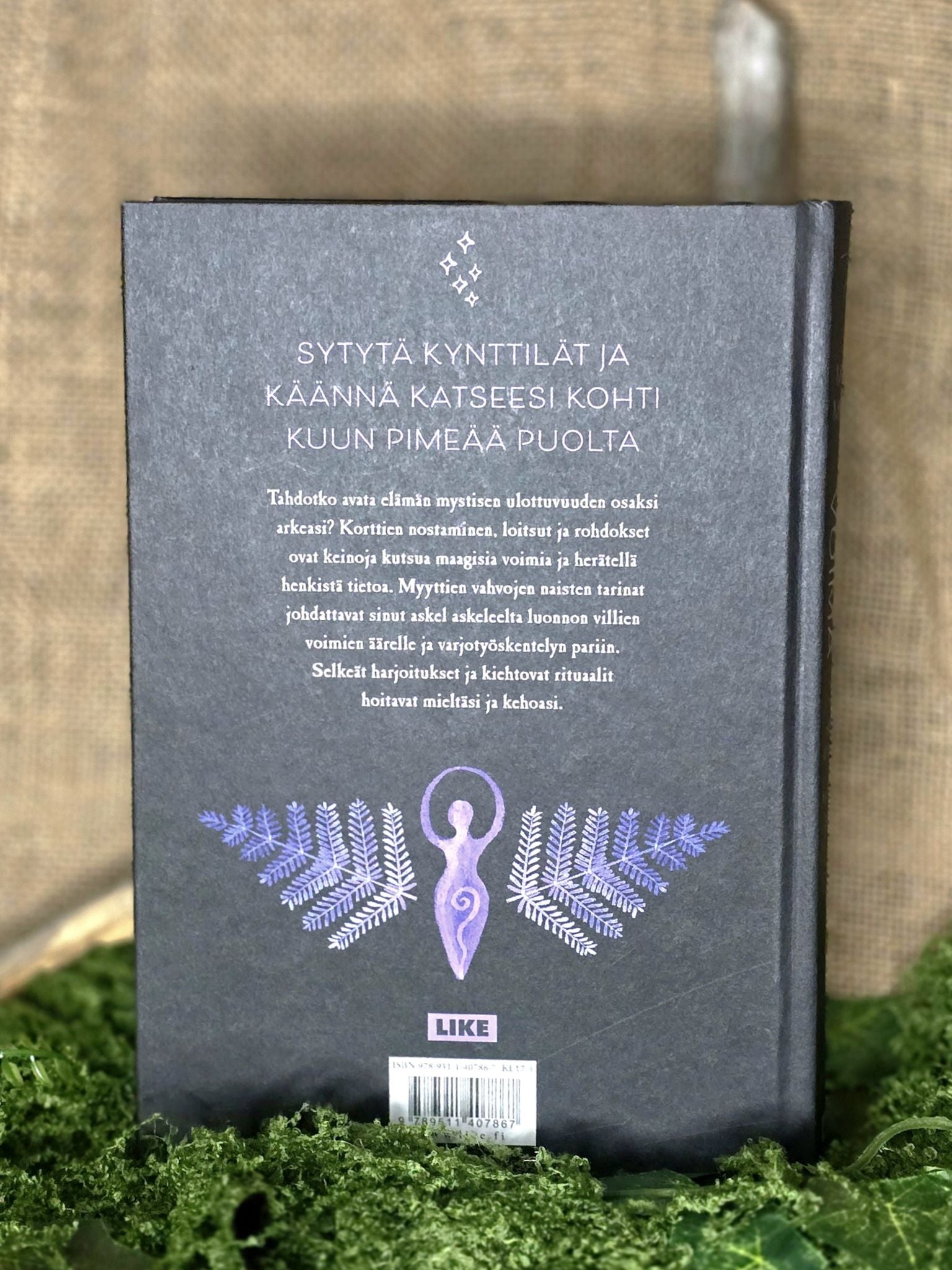 Meri Mortin kirja Varjojen voima. 